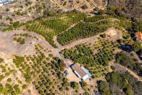 Photo of 39238 Daily Road, Fallbrook, CA 92028 (MLS # SW25250648) Photo of 39238 Daily Road, Fallbrook, CA 92028 (MLS # SW25250648)