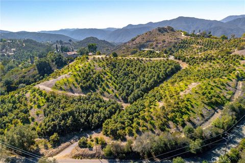 Photo of 39238 Daily Road, Fallbrook, CA 92028 (MLS # SW25250648) Photo of 39238 Daily Road, Fallbrook, CA 92028 (MLS # SW25250648)