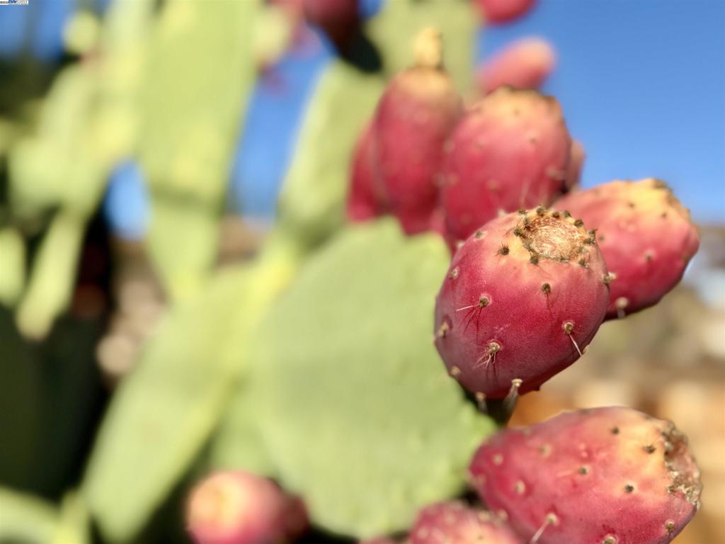 CARRIAGE SQUARE - Residential