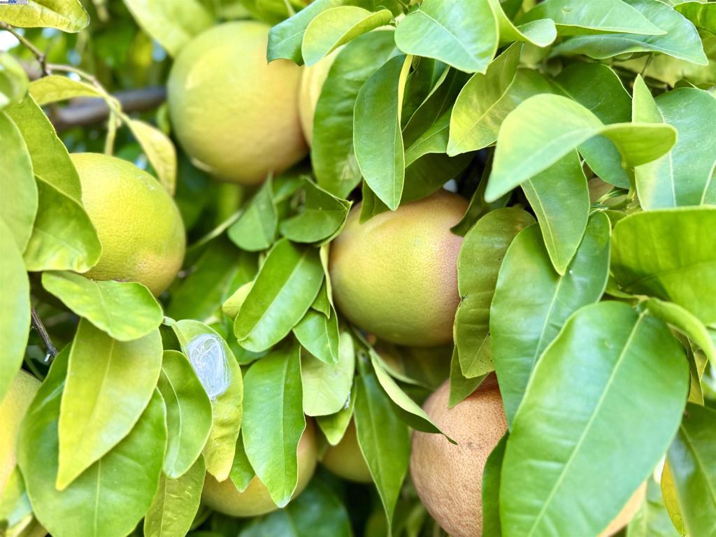 CARRIAGE SQUARE - Residential