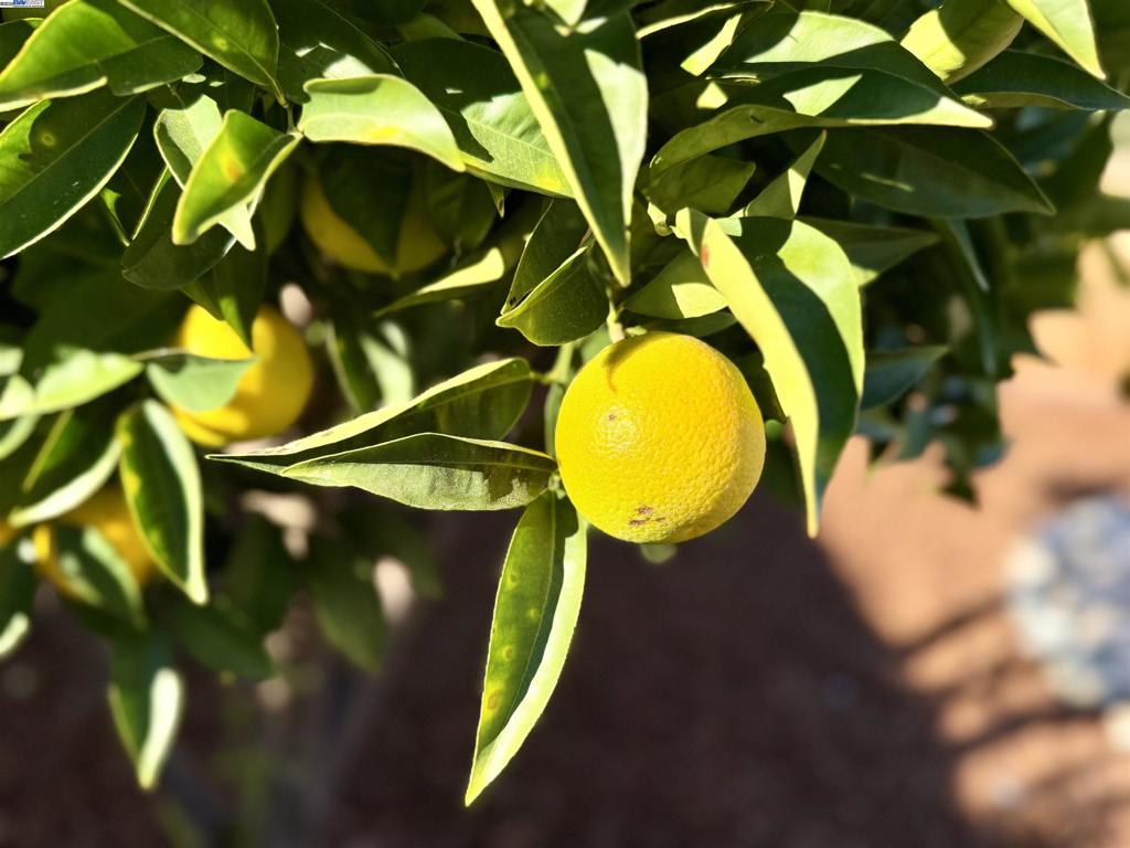 CARRIAGE SQUARE - Residential