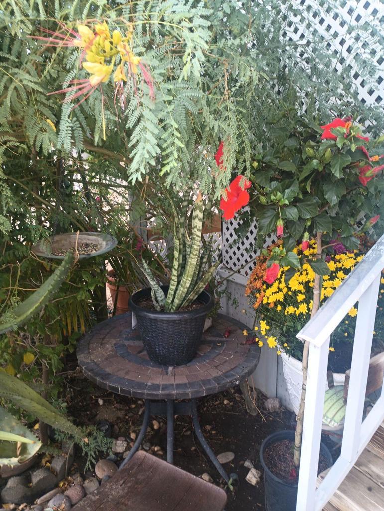 Not Applicable-1 - Manufactured In Park