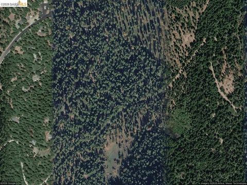 Photo of 27901 Salt Springs Rd Rd, Pioneer, CA 95666 (MLS # 41130021)