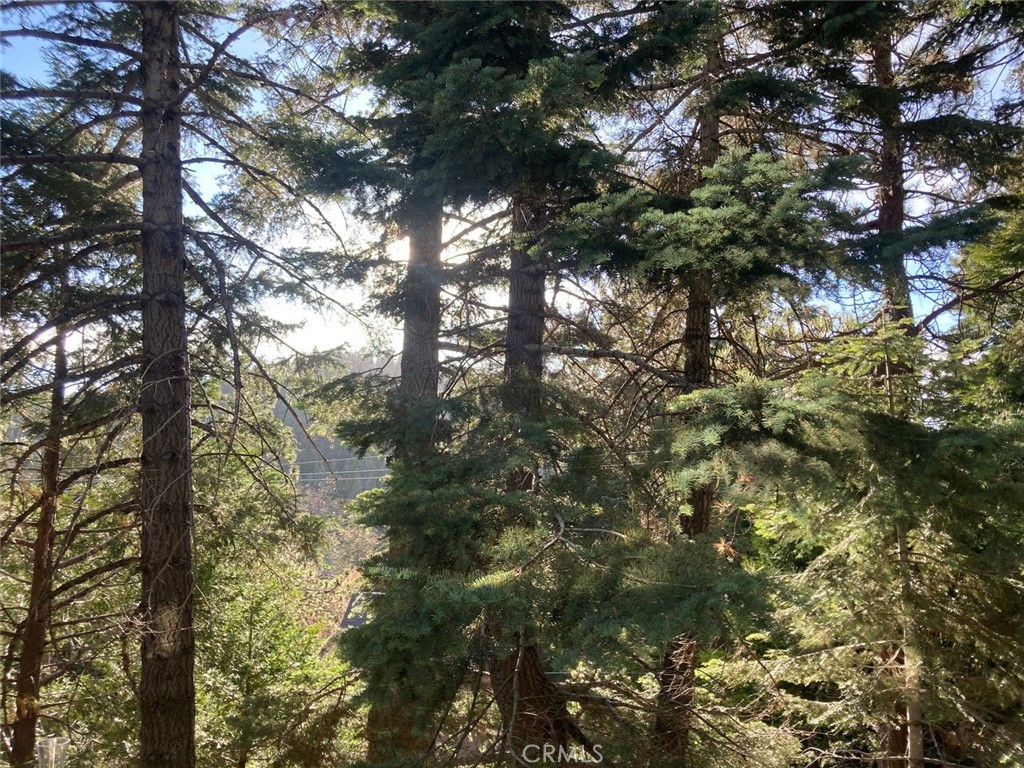 Arrowhead Woods (AWHW) - Residential Lease