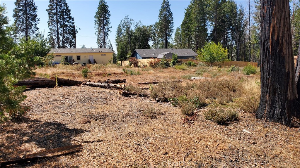 POWER, WATER & EXISTING SEPTIC! This .27-acre lot is nice & level and still has the driveway in place, which should make it easy to develop for your new dream home. There are several new homes as well as existing homes in the neighborhood and that wonderful character that you can only find in the mountains!! It is also only about a mile from the grocery store, multiple shopping options, post office and dining! Plus, it is a quick and easy commute down Skyway to Paradise & Chico. How about fishing & water sports and outdoor adventures? This lot is a short drive to Paradise Lake, DeSabla Lake, Lake Oroville Marina or the Feather River! Enjoy the benefits of being in the Paradise Pines Property Owners Association as well. You are only a short drive the clubhouse with association amenities including the clubhouse with meeting rooms & library, 2 event centers with full kitchens, full bar & lounge at clubhouse, tennis courts, bocce ball court, children's playground, hiking trails, swimming pool & spa and so much more! This lot has been waiting for YOU!
