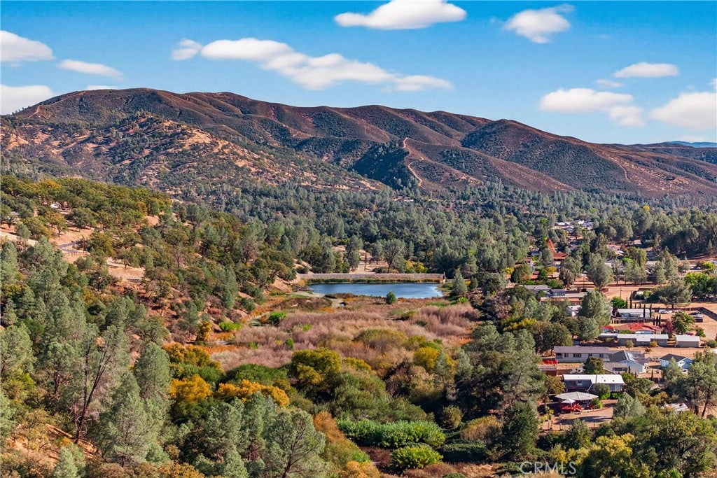 3113 Wolf Creek Road