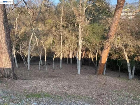 Photo of 103 Thomson Lane, Copperopolis, CA 95228 (MLS # 41148046)
