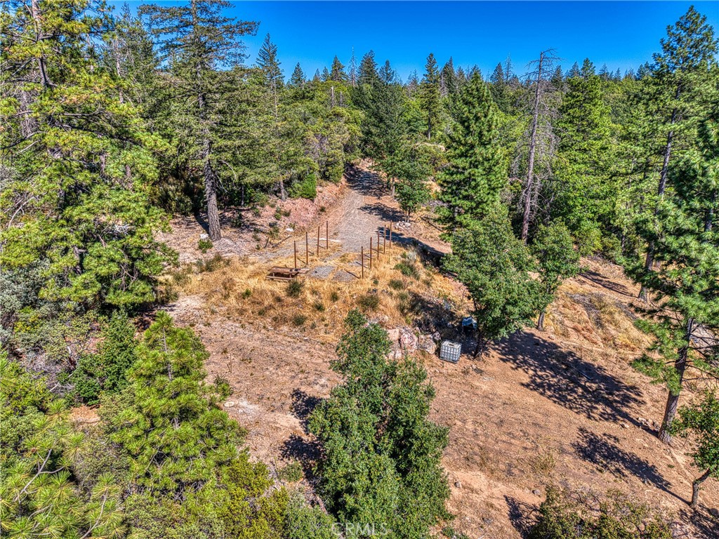 9489 Diamond Dust Trail