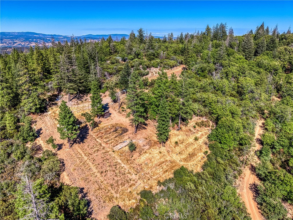 9489 Diamond Dust Trail