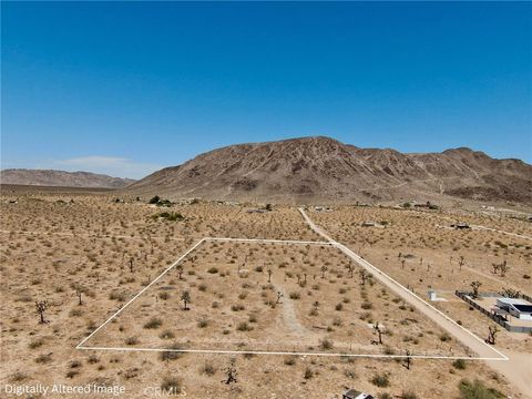 Photo of 1903 Osgood Avenue, Landers, CA 92285 (MLS # JT26089465)