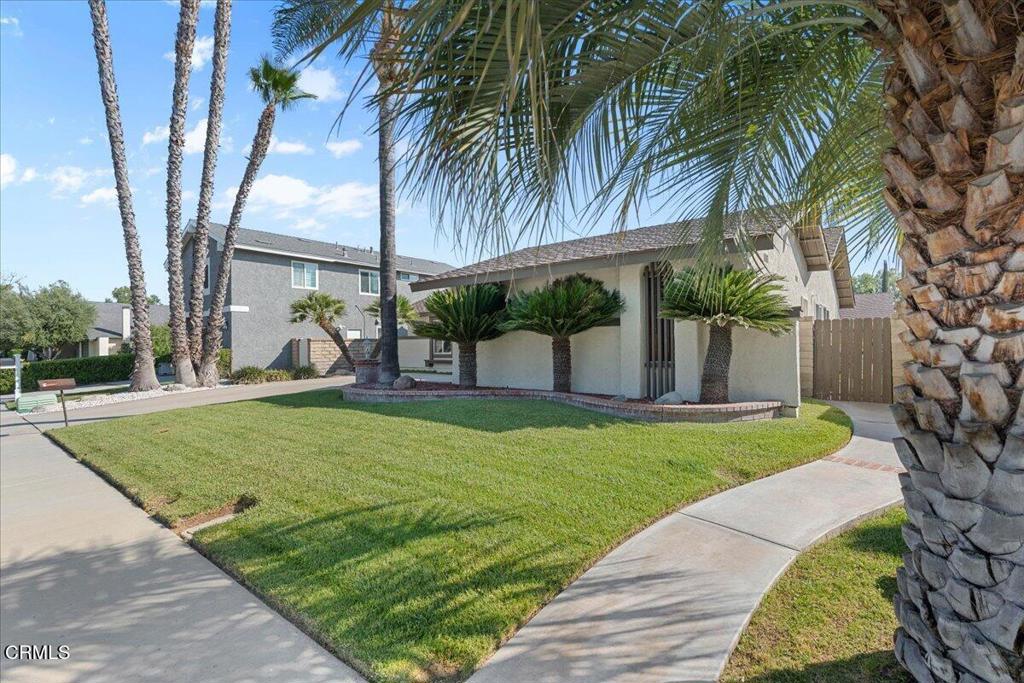 25530 Meadow Mont Street