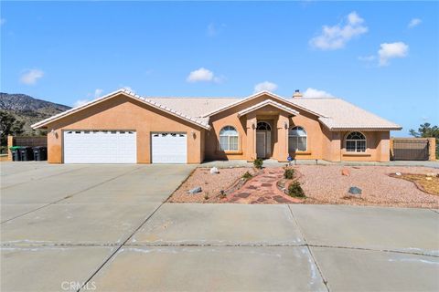 8250 Snow Cap Pinon Hills CA 92372