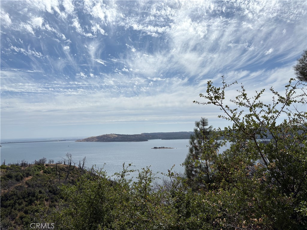 One of a kind view of Lake Oroville and beautiful sunset views, Simmons is paved all the way to the property. June 2025 well was tested with a depth
of 100 feet and producing 20 gallons per minute, well report available upon request. previous home had a 2 bdrm septic that has not been inspected
Apricot, fig, redwood, pine, madrone trees and chain link fencing