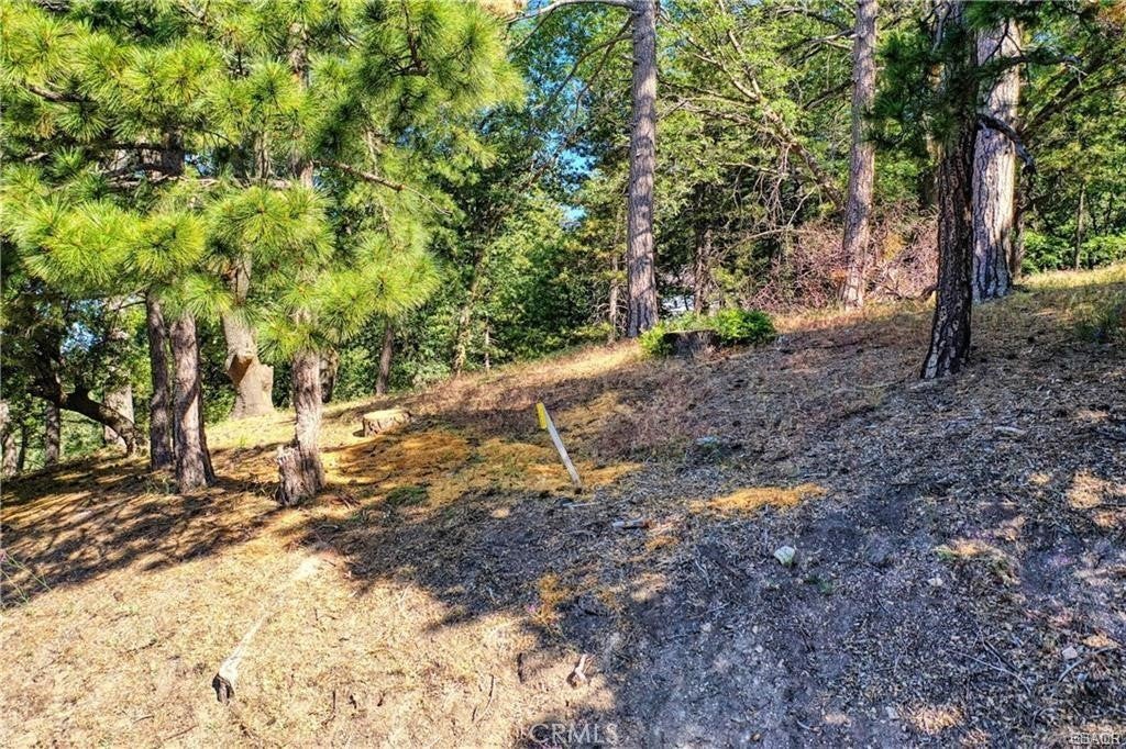 0 Lot 246 Ferndale Dr