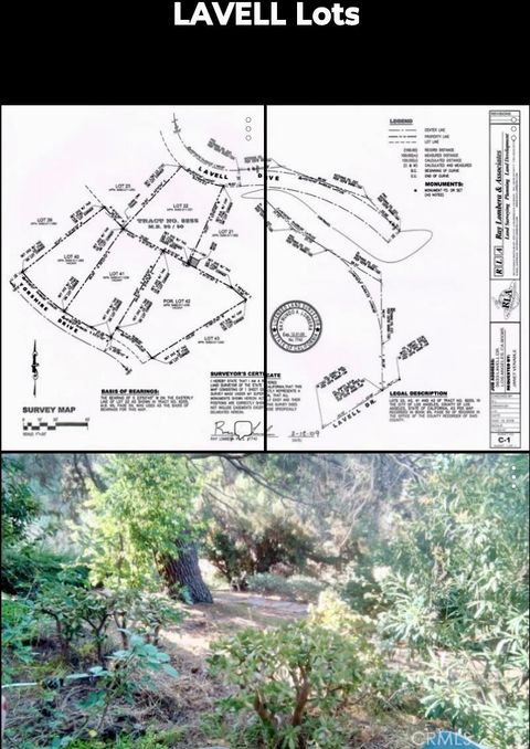 Photo of 3633 Lavell Drive, Los Angeles, CA 90065 (MLS # SR25271523)