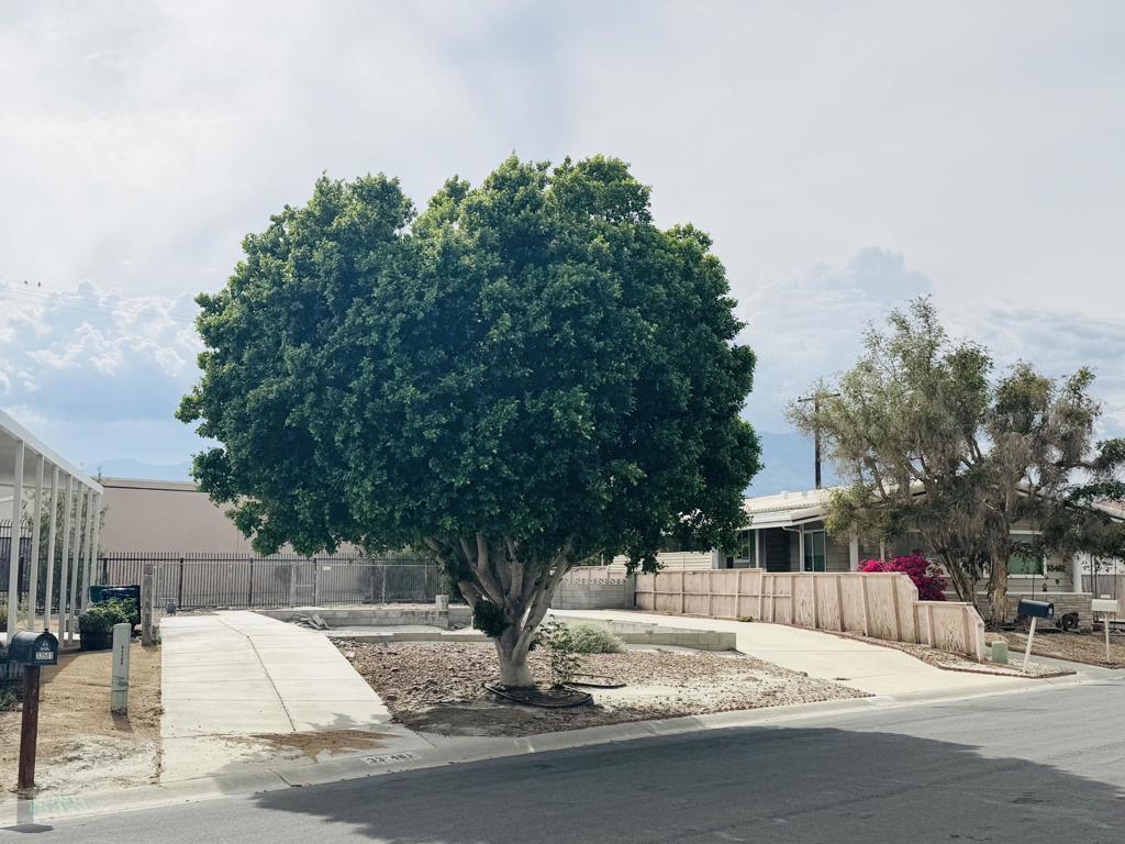 Tri Palm Estates - Land