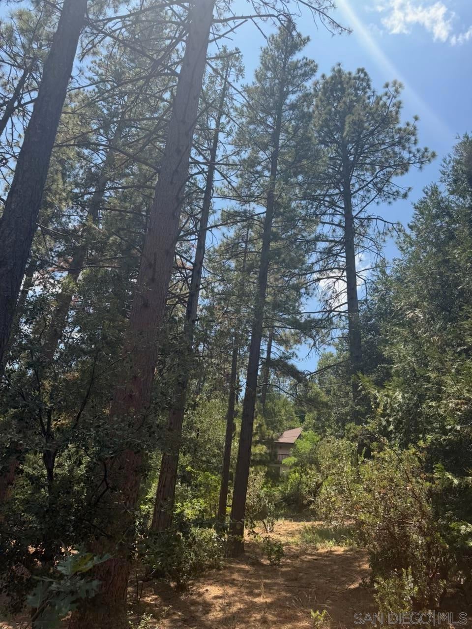 0 Big Pine