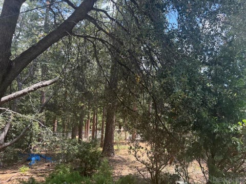 Photo of 0 Big Pine, Idyllwild, CA 92549 (MLS # 260020915SD)