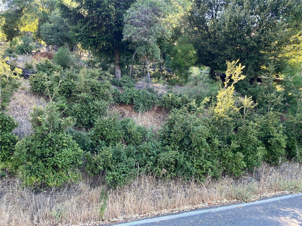 3607 Pine Terrace Drive