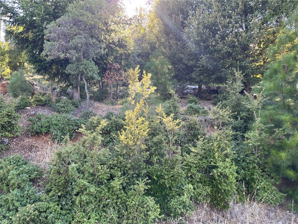 3607 Pine Terrace Drive