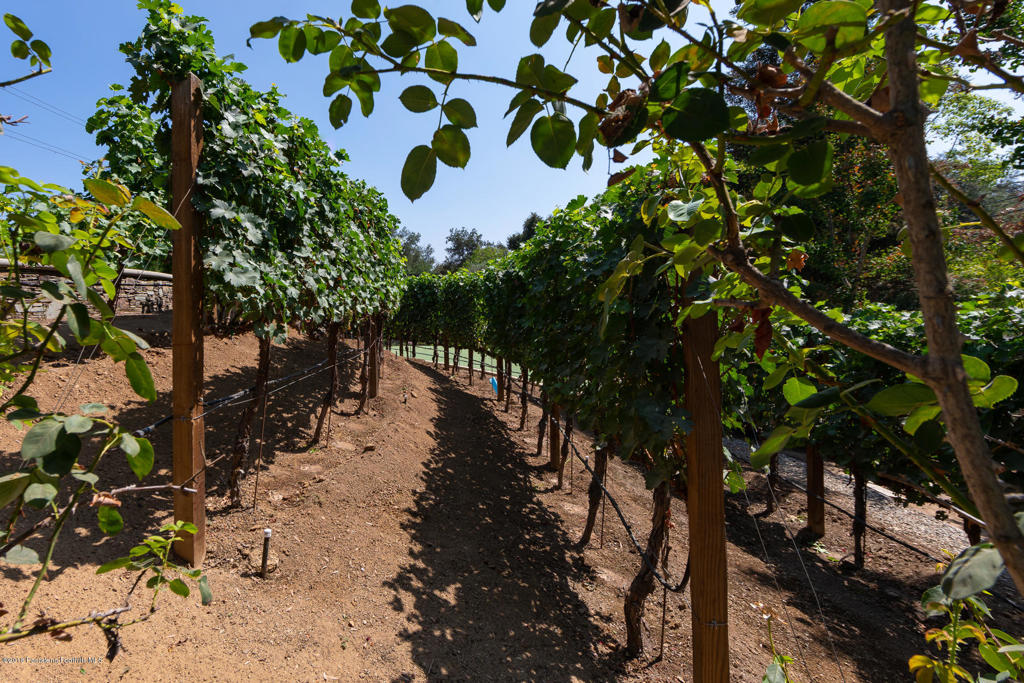 Not Applicable - 1007242 - Residential