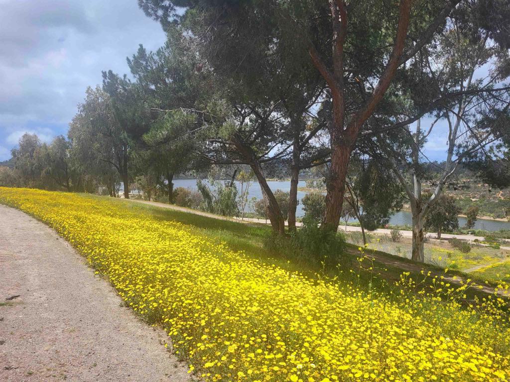 Lake Park (LKPK) - Residential