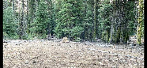 Photo of 0 California Pines Blvd, Alturas, CA 96101 (MLS # MB25171137)