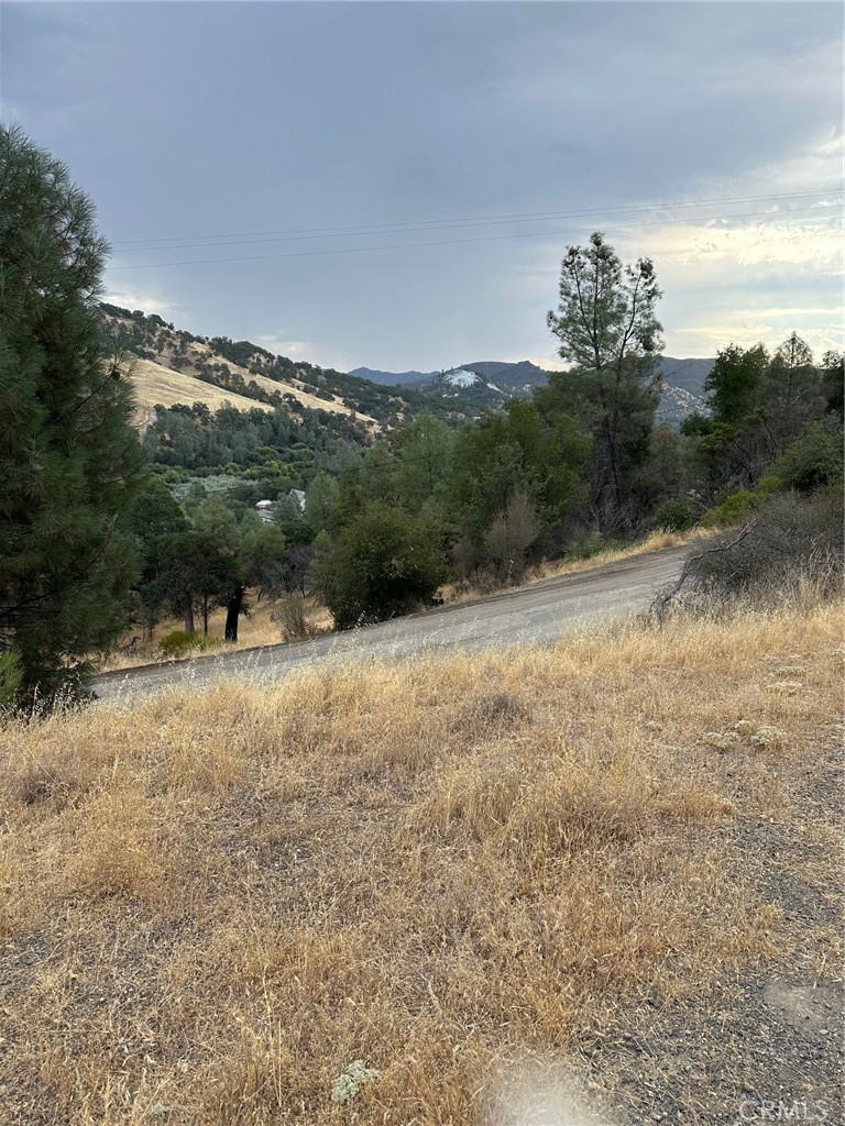 Approx 1.36 Acs with Beautiful views from this property. Home was burned down, 2 car garage is remaining. Paved road access, it has an existing septic tank. Water meter was burned check with Special Districts for o cost to replace.