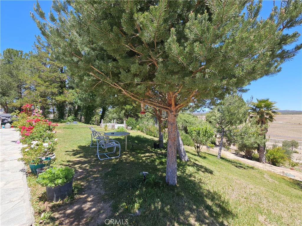 49500 Meadowview