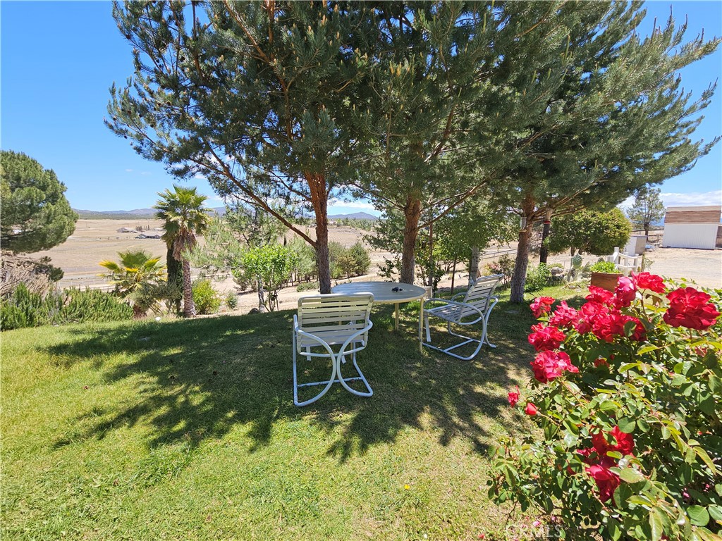 49500 Meadowview