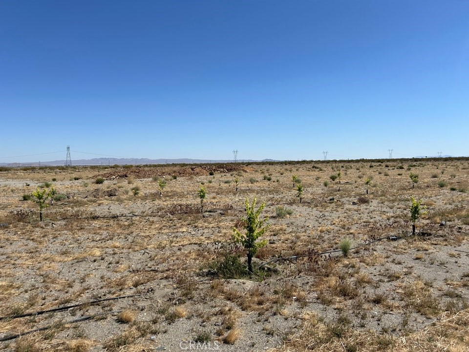 20-Acre Lot for Sale Near Highway 18 in Phelan
This flat and usable 20-acre parcel is conveniently located near Highway 18 in Phelan. The property has a working water well and electricity service already connected. Approximately 1,000 young jujube trees and plum trees are planted, making it a fantastic opportunity for those interested in starting a farm or agricultural business. Seller financing available.