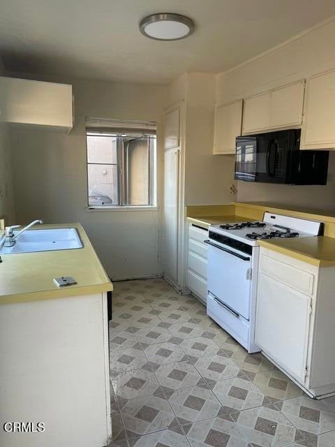 1441 Iguana Circle
