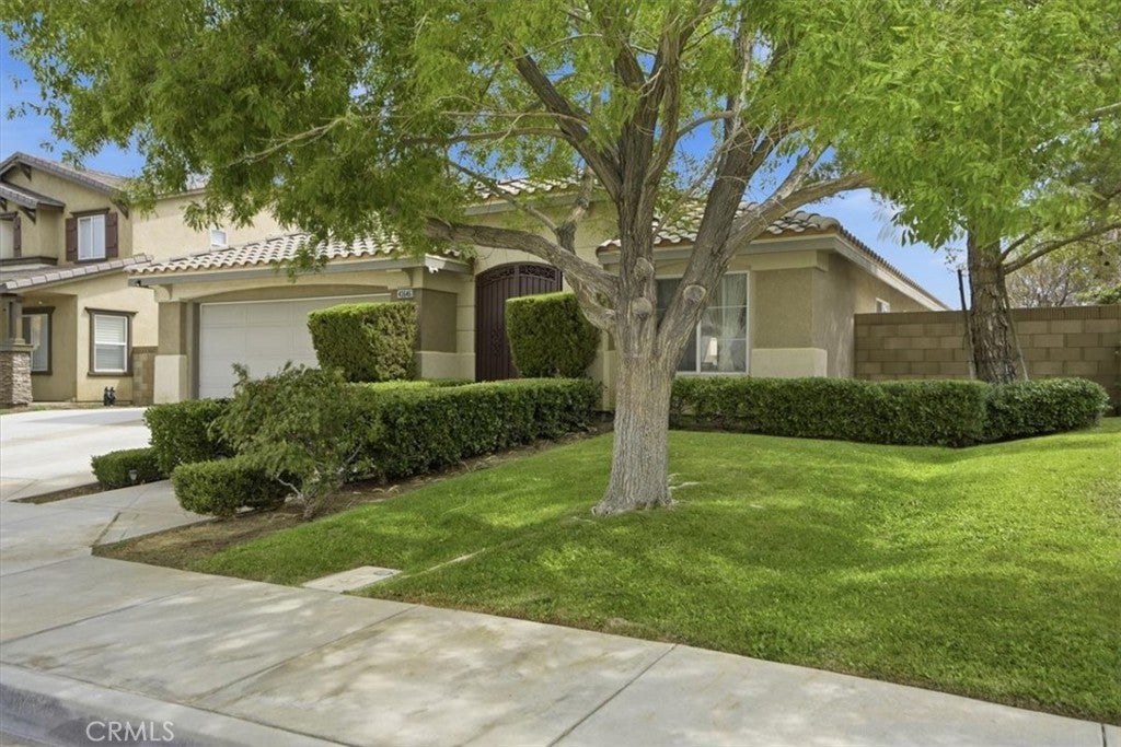 43646 Rialto