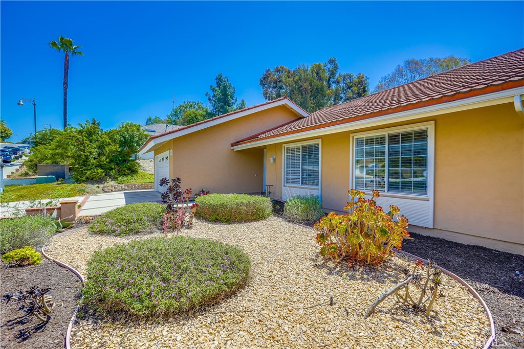 24482 Chrisanta Drive