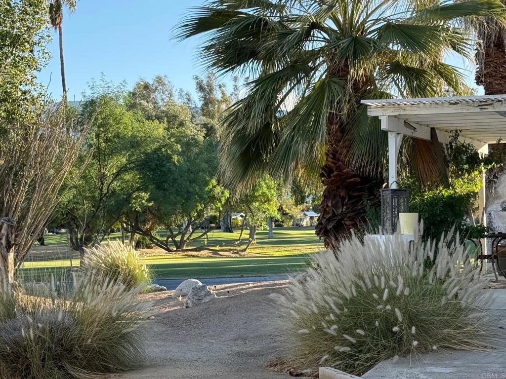 1010 Palm Canyon Drive 82