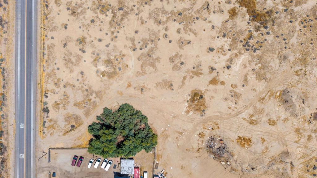 1 Palm Canyon Drive