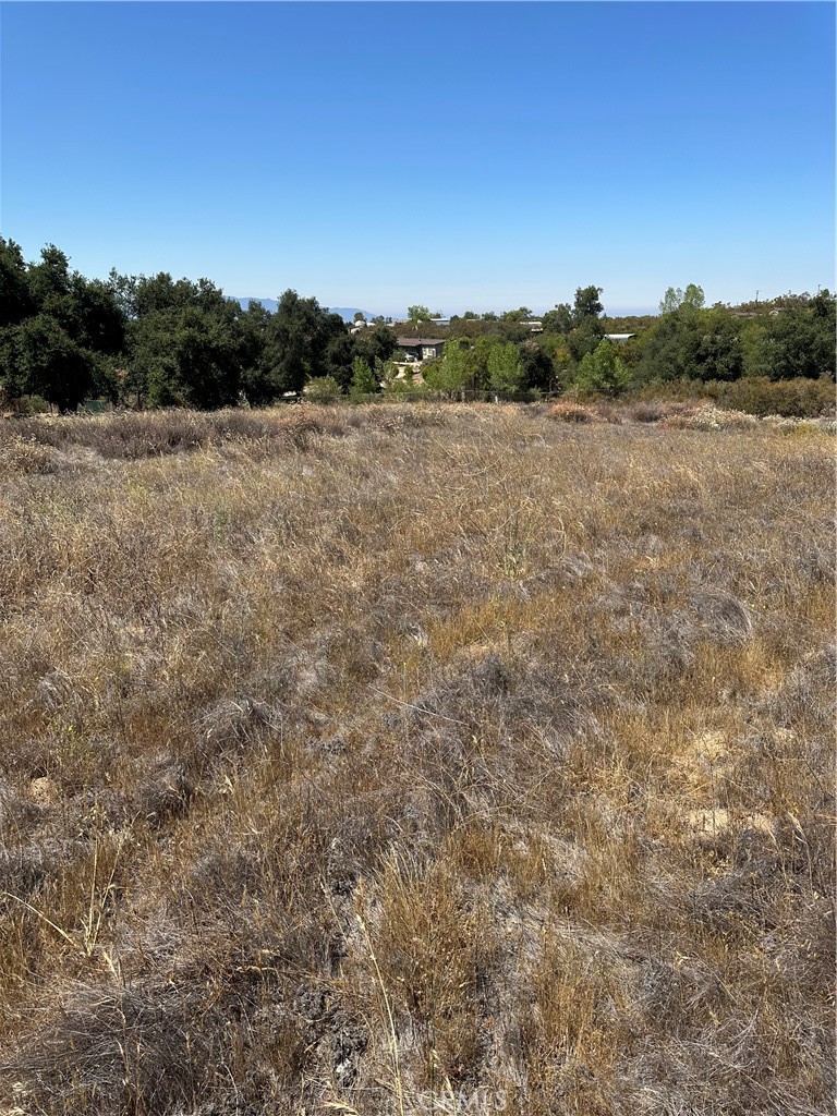 45775 Red Mountain Road