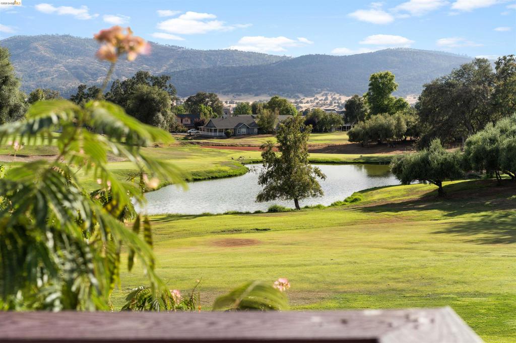 569 Spyglass Cir