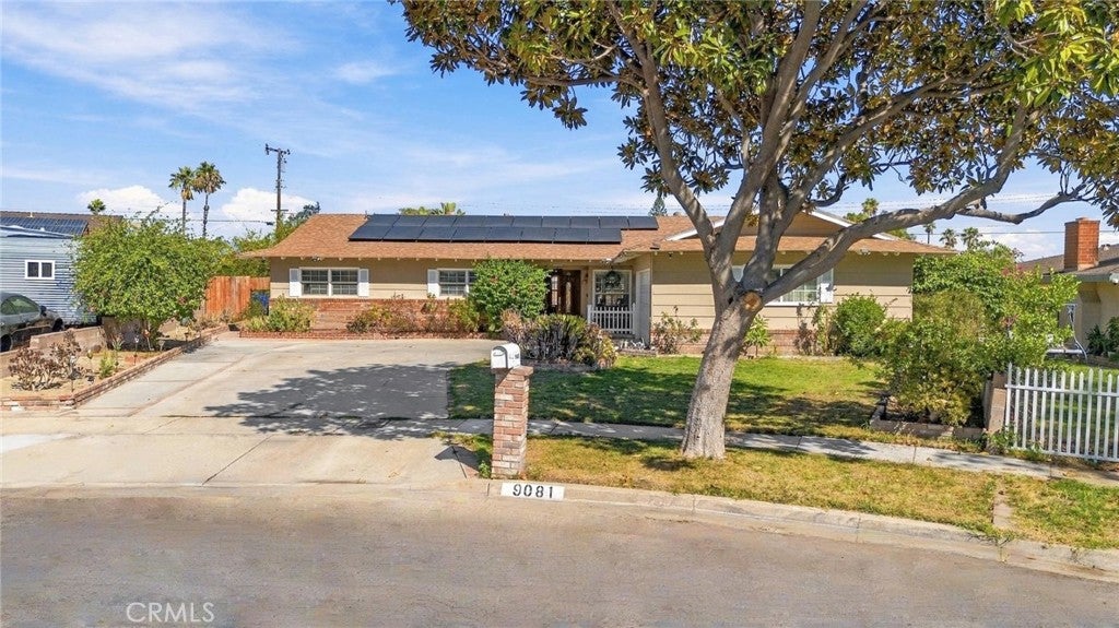 9081 Tangelo Avenue