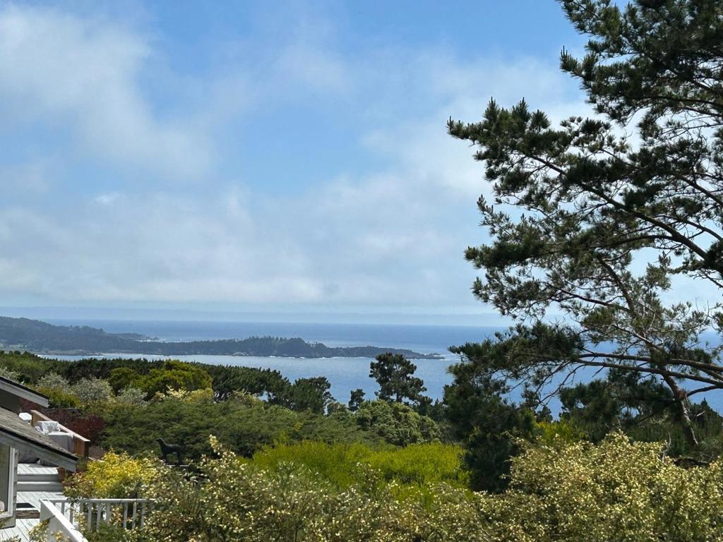Perched on an expansive, tree studded lot overlooking the 17 Mile drive with incredible Ocean and Point Lobos views, this 4 bedroom, 3 bath home has a contemporary mid-century vibe. The spacious 2330 square foot residence has been upgraded by the current owners and is an entertainer's dream. The main level offers tranquil forest views, an open floor plan, hardwood floors, living room, dining area, three bedrooms, two bathrooms and a chef's kitchen with stainless appliances. The second story features a private bedroom suite and a family room with impressive ocean views that is the perfect space for relaxing and unwinding. There are two fireplaces, one in the living room and one in the family room. Outside you will find a private, fenced patio area for outdoor living and entertaining and the large lot provides more privacy and opportunities for expansion or an ADU. A two car attached garage completes this unique property. Embrace the Pebble Beach lifestyle in this remarkable home that is conveniently located a short drive from the Lodge at Pebble Beach and the Pebble Beach Golf Links. Close by you will find Del Monte Forest walking trails and the property offers easy access to Highway One and all that the Monterey Peninsula has to offer.