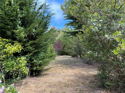 Tiny photo for 0 Burton Drive, Cambria, CA 93428 (MLS # SC26131638)