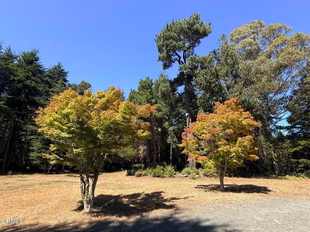 31290 Thomas Lane