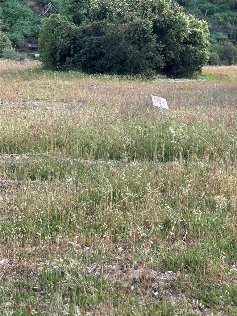 0 San Martinez Road