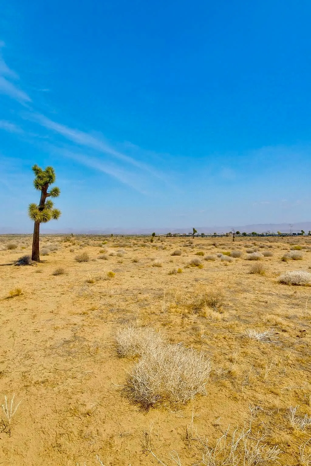 Phelan, California 92371, United States, ,Land,Active,248704