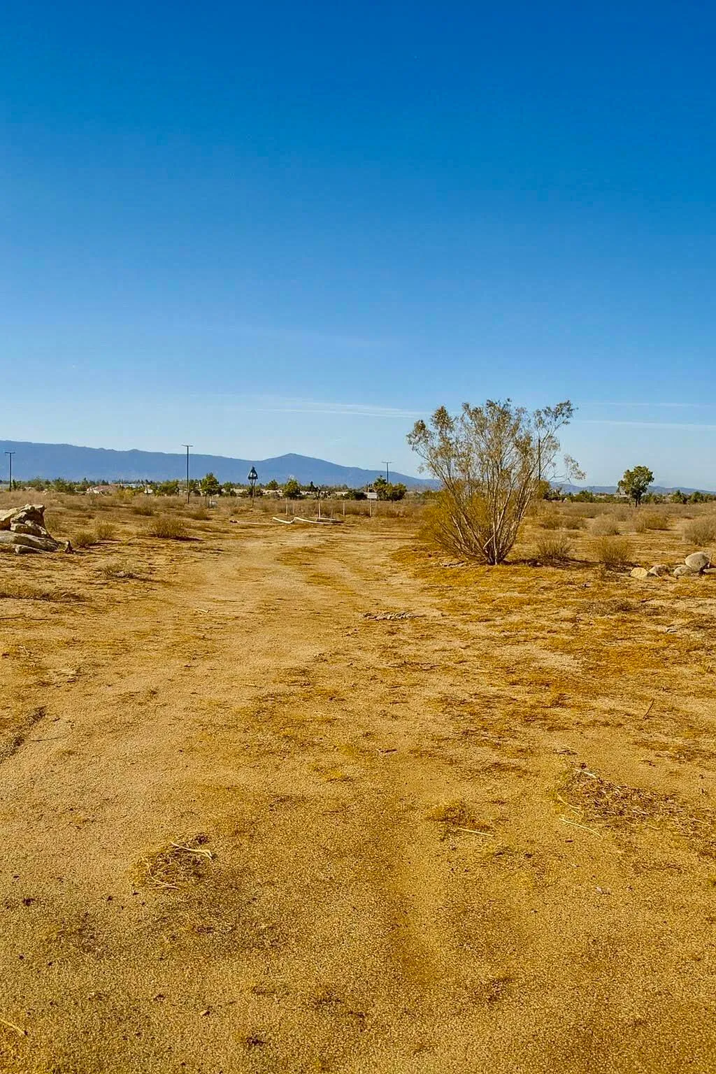 Phelan, California 92371, United States, ,Land,Active,248704