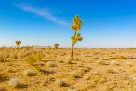 Photo of 6982 South Street, Phelan, CA 92371 (MLS # 219138918DA)