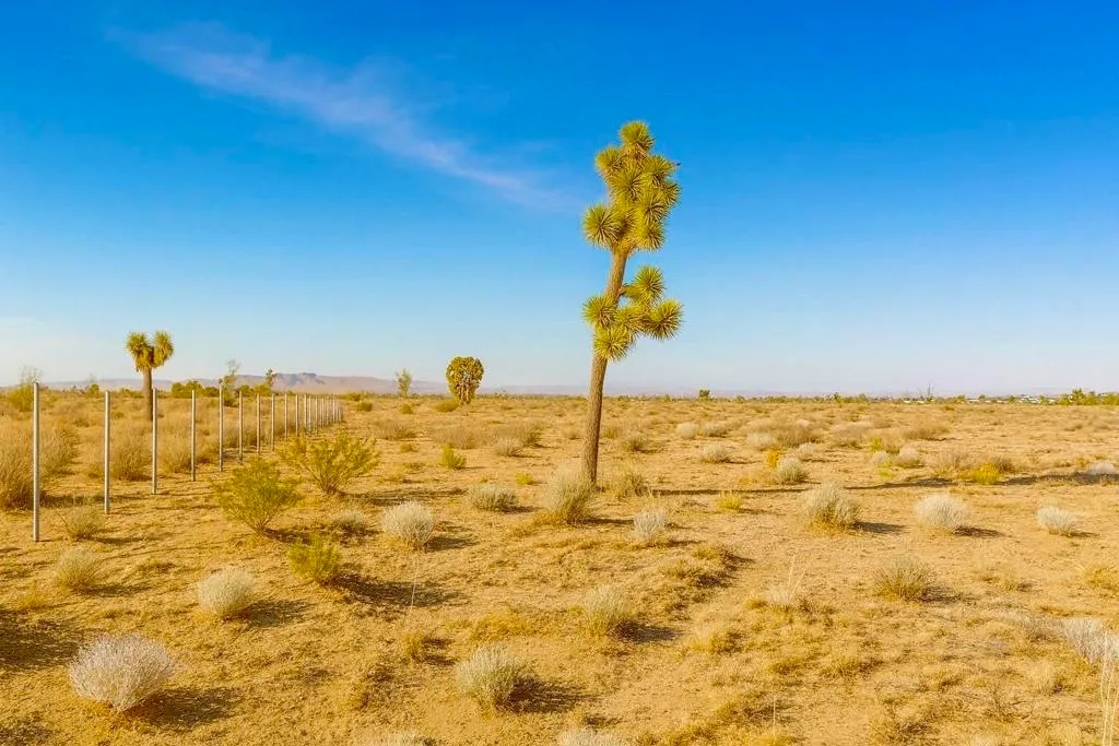 Phelan, California 92371, United States, ,Land,Active,248704