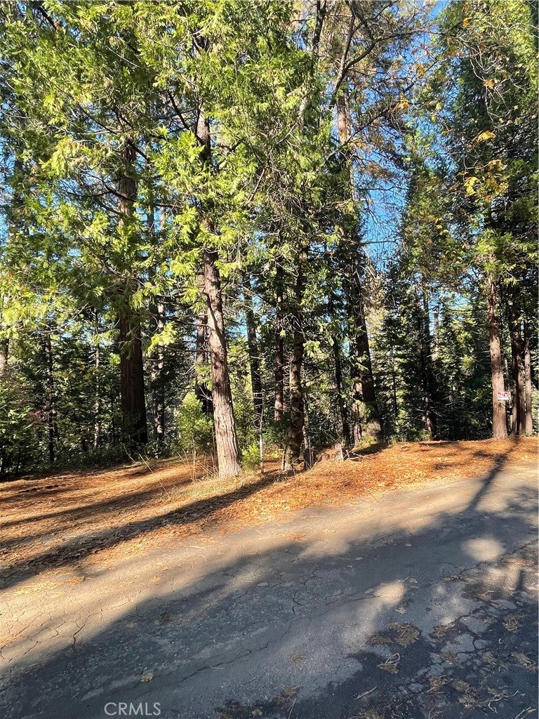 22447 Ponderosa Drive