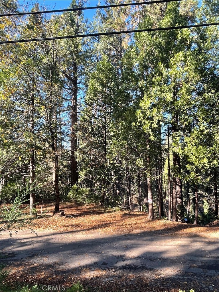22447 Ponderosa Drive