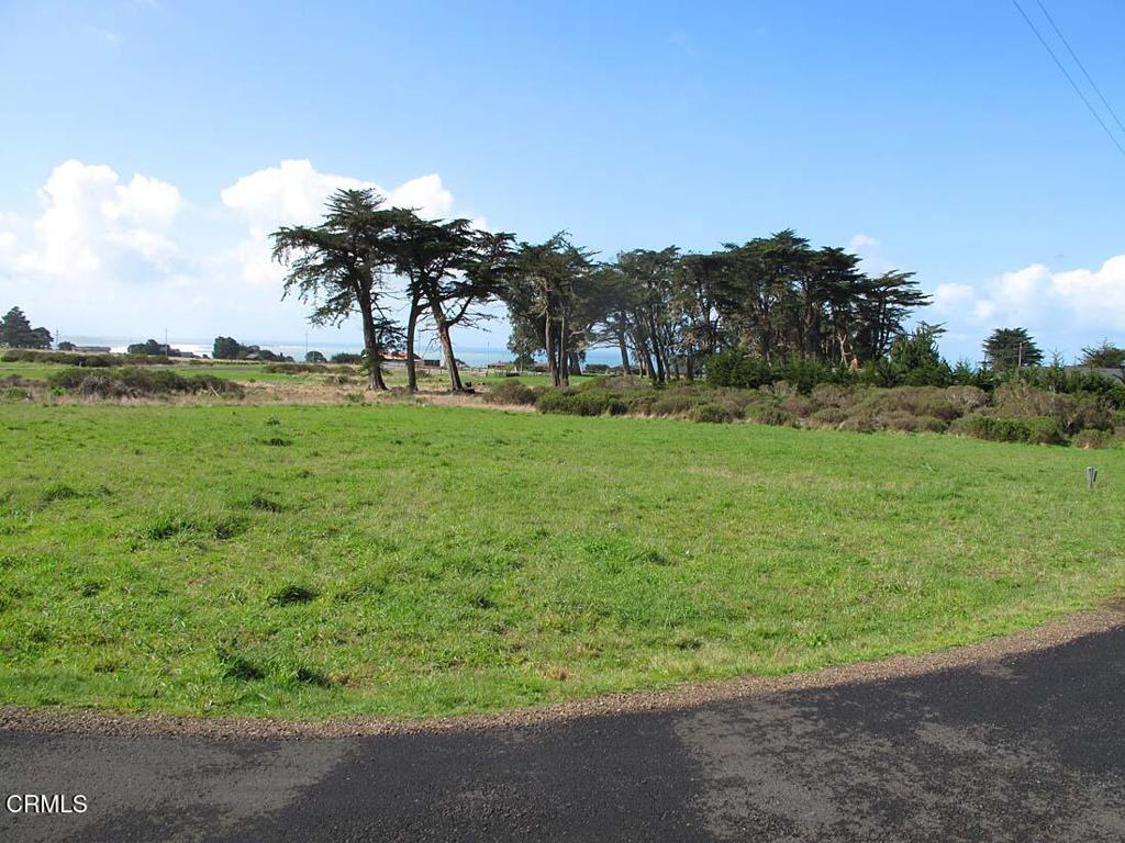 Stunning blue water ocean views and peaceful hill vistas make this sunny, level corner lot a rare find on the Mendocino Coast. One of the last remaining corner parcels in the desirable Irish Beach community, this property offers an ideal setting to build your dream coastal home.Enjoy private gated access to one of California's longest beaches, just minutes from your doorstep, plus a scenic community pond nearby. Soils profile is already completed -- you're one step closer to making your vision a reality.Located just 15 minutes from the charming town of Elk and 20 minutes from the iconic Point Arena Lighthouse, this quiet and well-loved neighborhood offers the perfect balance of natural beauty and convenience. Annual HOA fee includes exclusive beach access for owners.Don't miss this opportunity to own a piece of the coast with million-dollar views and lasting value.